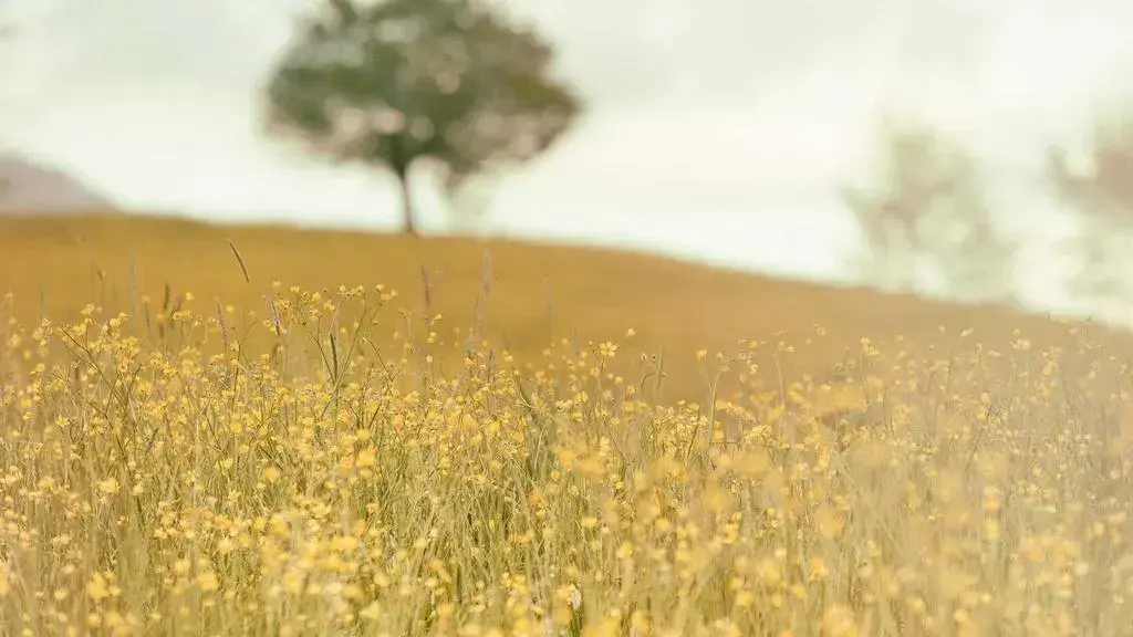 The Path to Emotional Sobriety: Mindfulness and Recovery