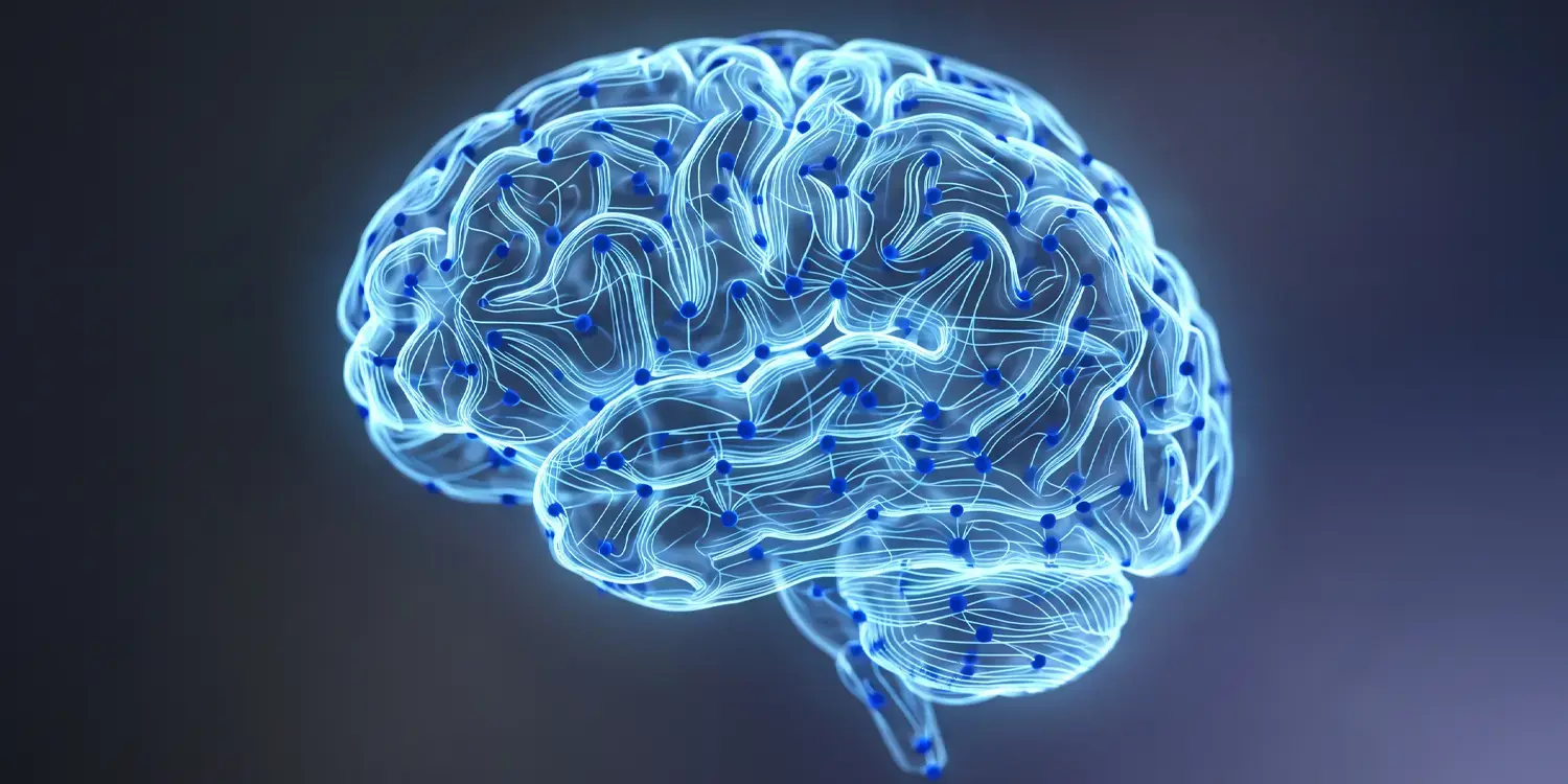 Brain Reward Networks Show Unusual Hyper-Connectivity in Autism, Study Finds