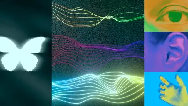 How to Experience More of Reality