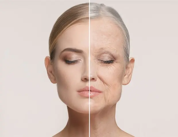 Brain Enzyme Offers New Hope Against Age‑Related Memory Loss